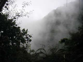 weather in Bwindi Forest