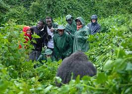 Rwanda gorilla safaris