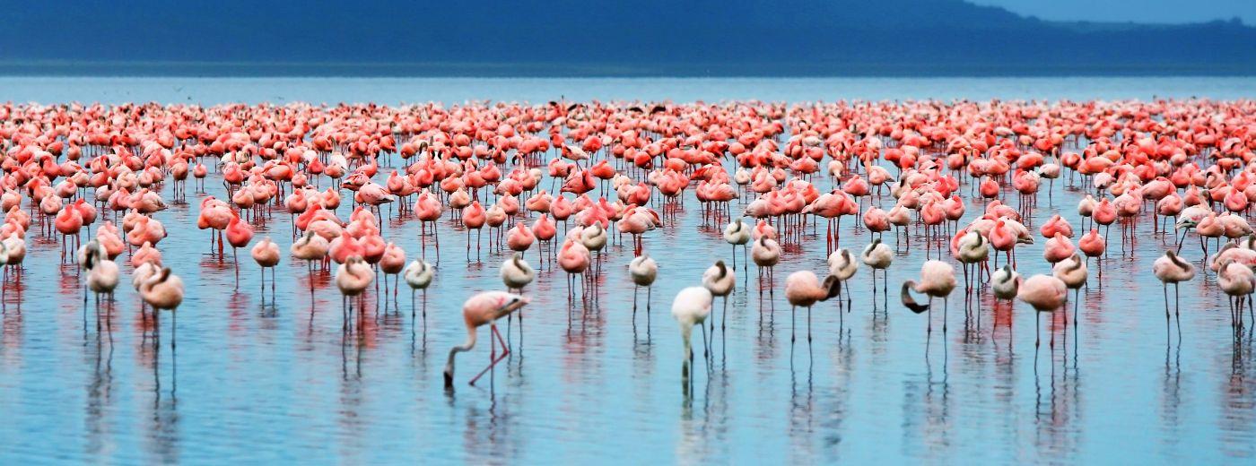 Lake Manyara National Park